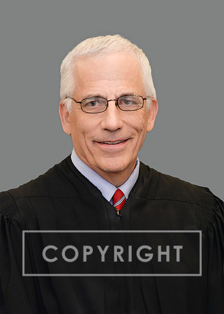 Judge Steven Levin